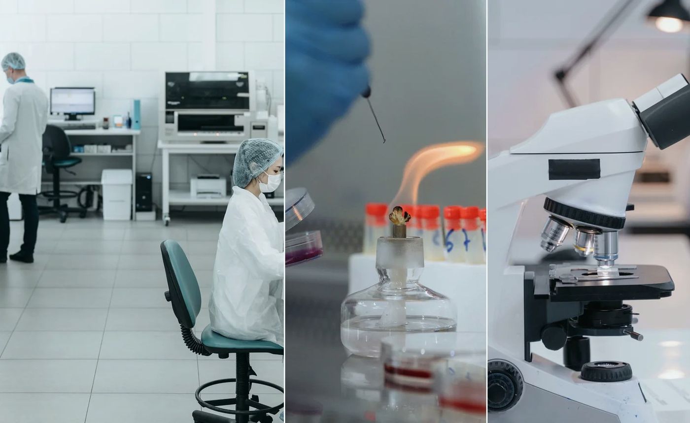 Bioinformatics and genomics research pathway