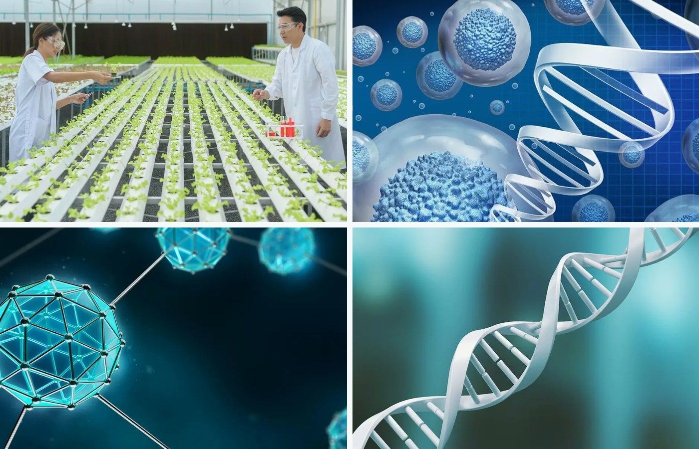 Biotechnology students receiving academic and practical guidance