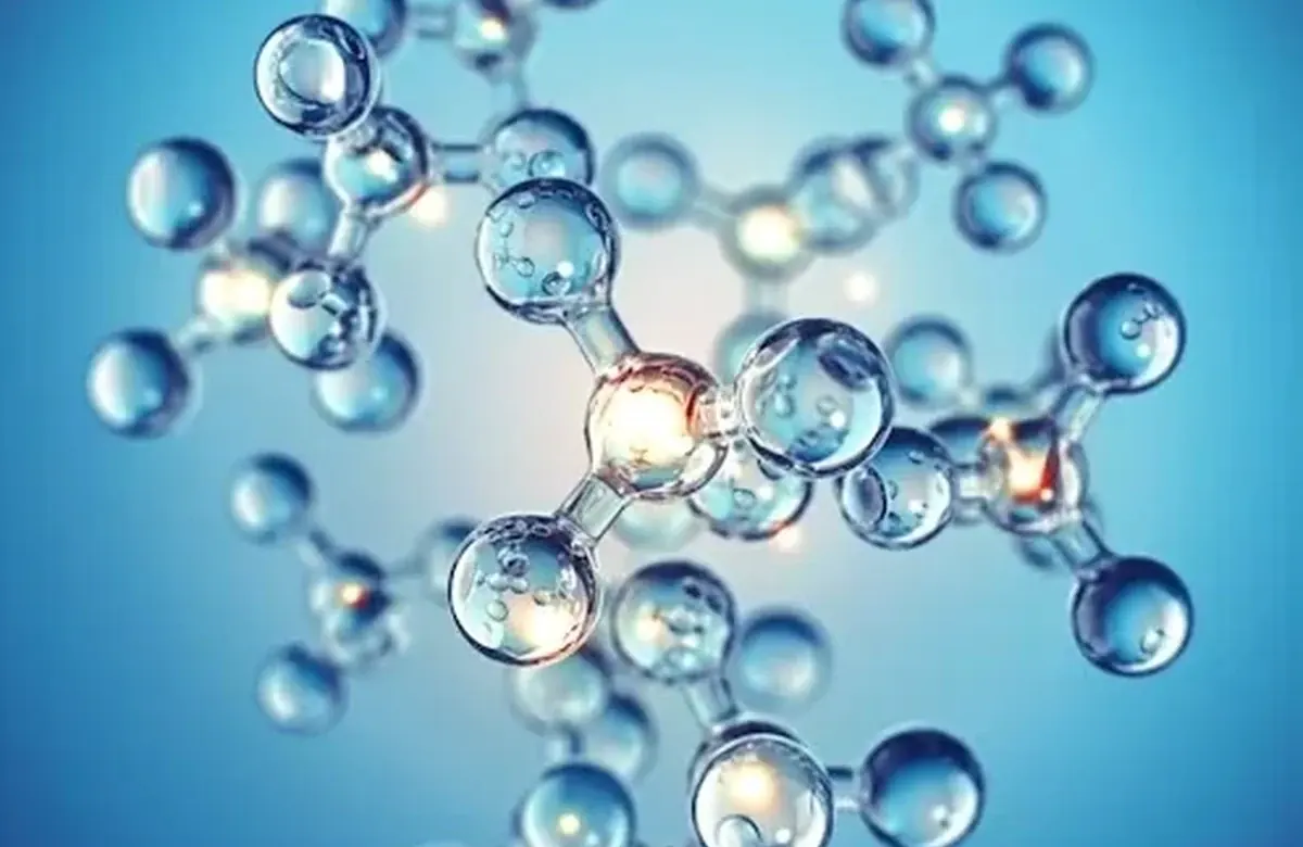 Molecular biology and PCR research pathway