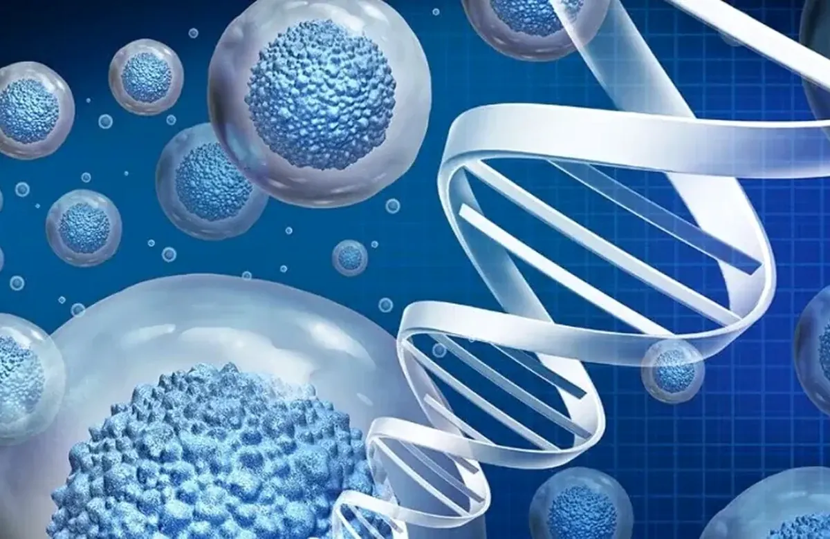 Cell and tissue engineering pathway