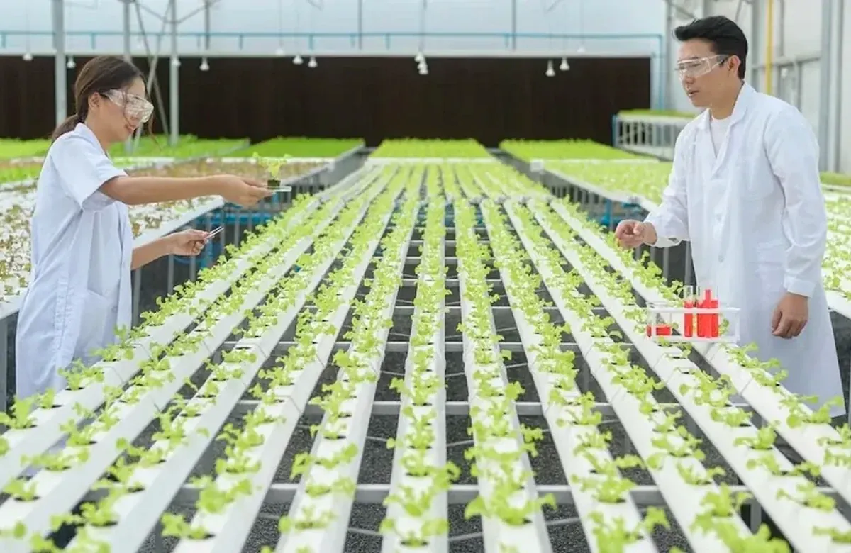 Food and agricultural biotechnology pathway