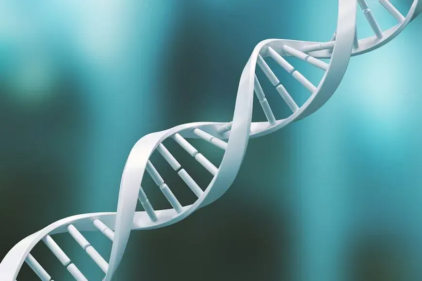 Research-led biotechnology laboratory learning and scientific methods